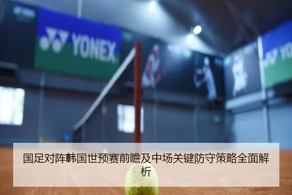 国足对阵韩国世预赛前瞻及中场关键防守策略全面解析（LD SPORTS）